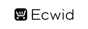 Widget WCAG shopify